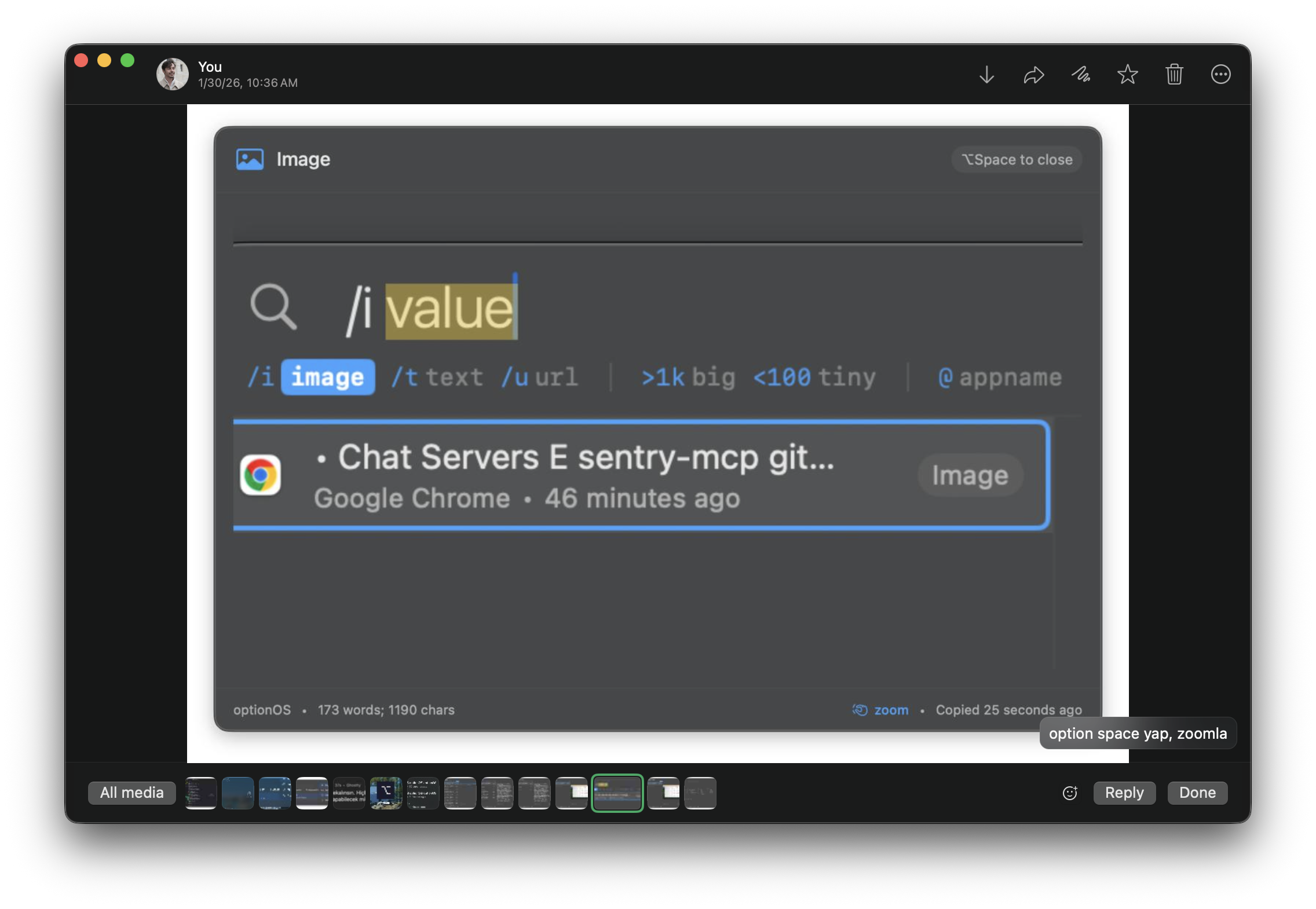 Zoom with Option Space