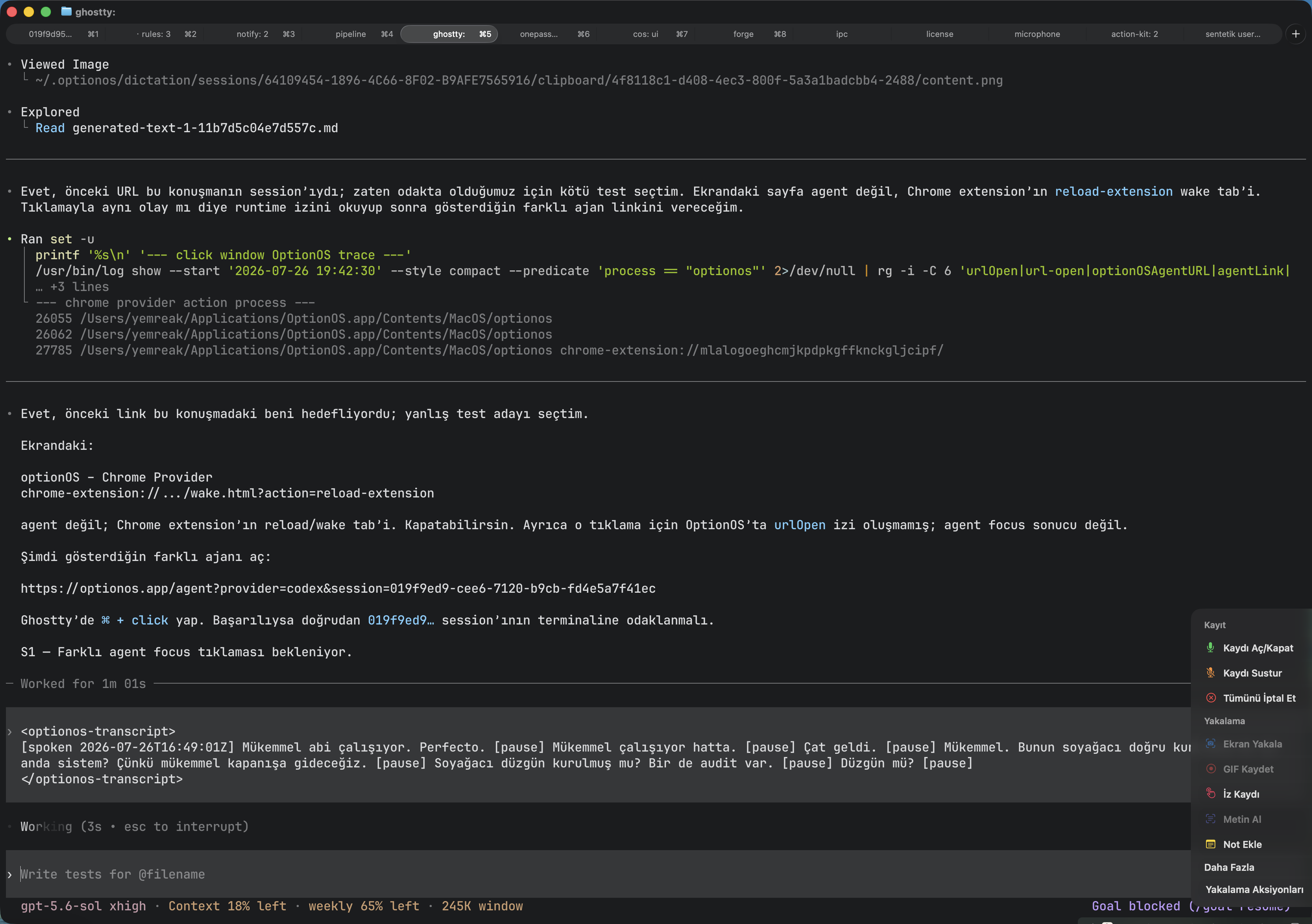 Ghostty conversation showing the optionOS Chrome Provider surface and an agent link to a different live Codex session