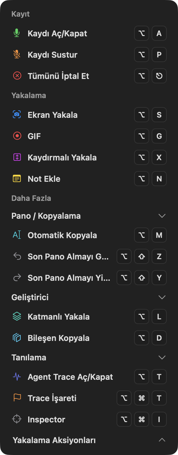 optionOS yakalama menüsünde Pano/Kopyalama, Geliştirici ve Tanılama grupları
