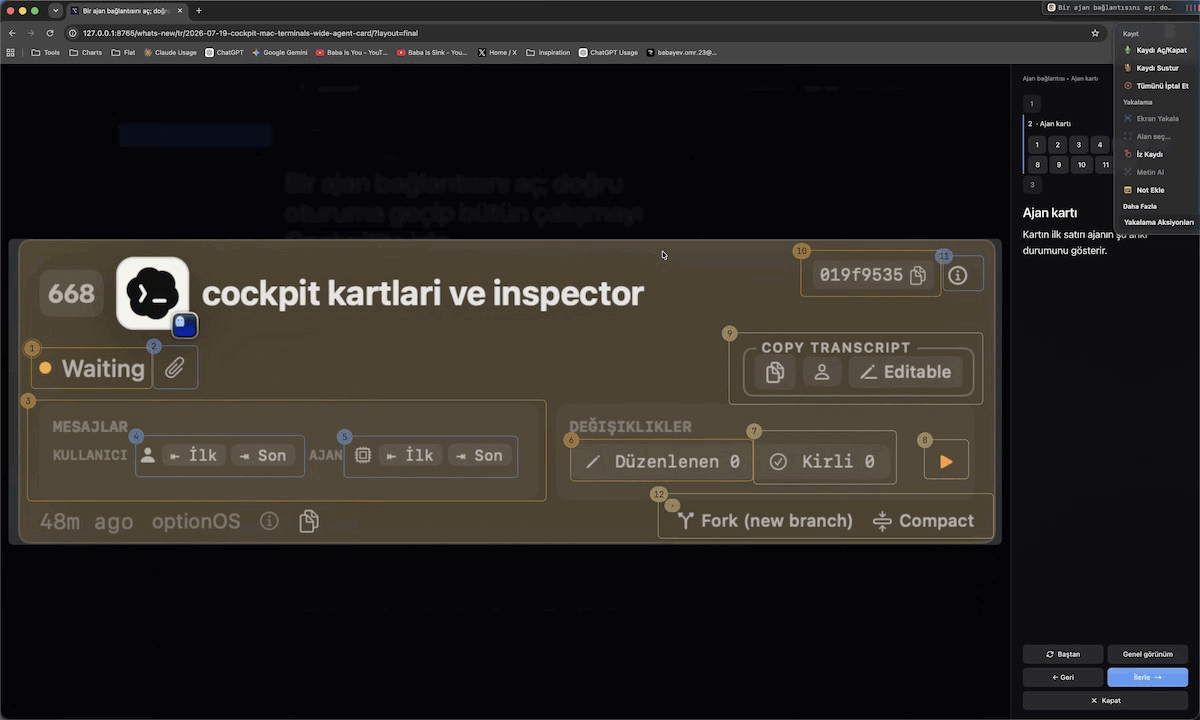 Numbered targets lighting up in sequence as the interactive viewer moves toward the target selected by each click