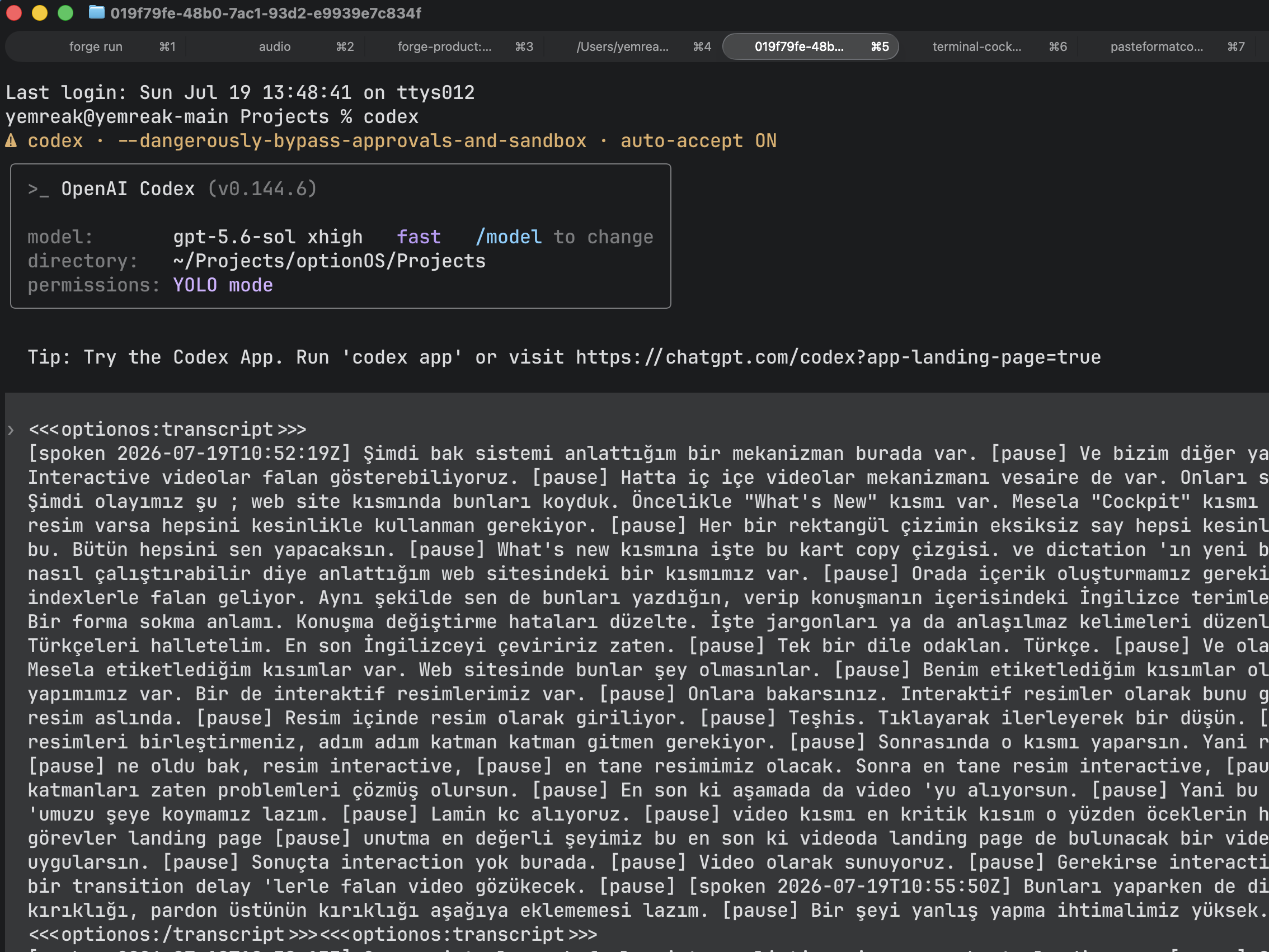 Open Codex session in Ghostty and an optionOS transcript packet delivered entirely through speech